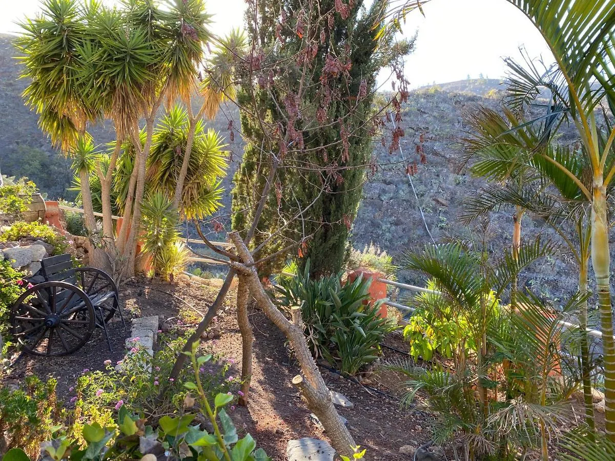 Casa Amarilla Villa Guia de Isora  Holiday home