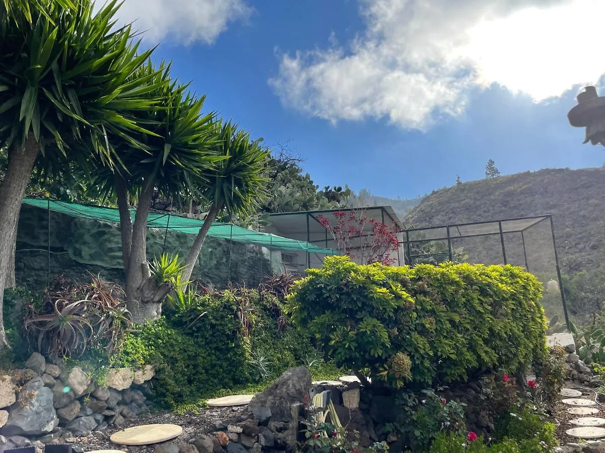 Casa Amarilla Villa Guia de Isora  Holiday home Guia de Isora (Tenerife)